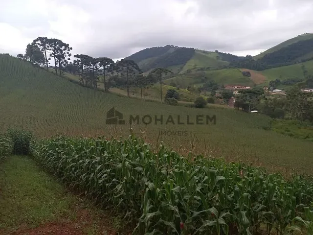Terreno com 38700m², à venda, no bairro Mata do Isidoro em Maria da Fé