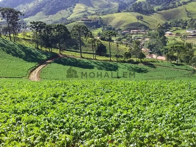 Terreno com 38700m², à venda, no bairro Mata do Isidoro em Maria da Fé