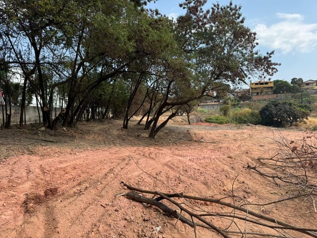 Terreno com 15000m², à venda, no bairro São João Batista (Venda Nova) em Belo Horizonte