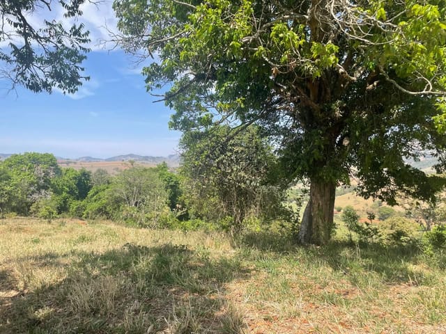 Terreno com 18600m², à venda, no bairro Jardim Américo em Cambuí