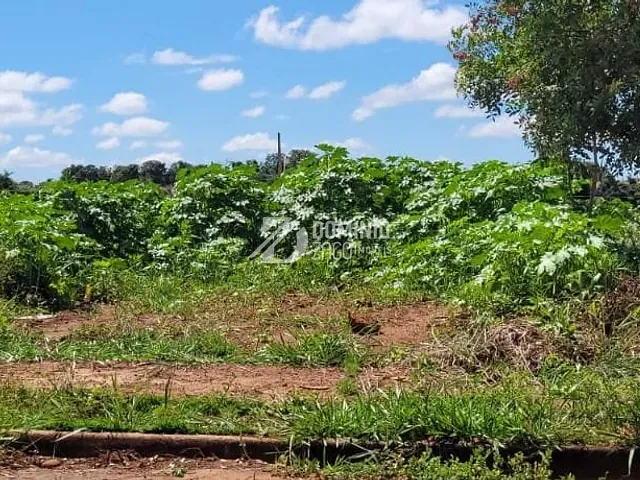 Terreno com 250m², à venda, no bairro Loteamento Terra Jardim em Uberaba