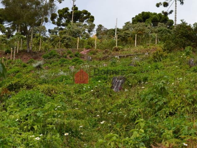 Terreno com 1292m², à venda, no bairro Vila Abernéssia em Campos Do Jordão