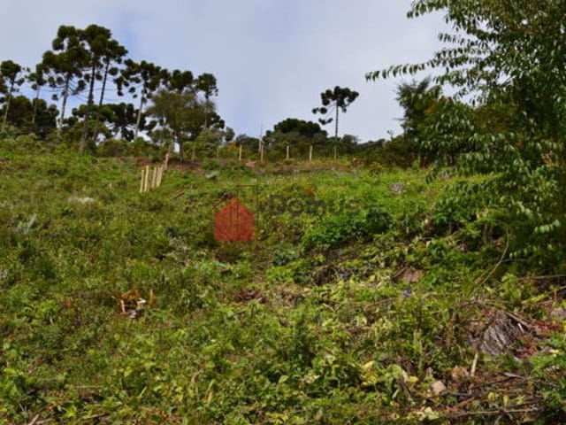 Terreno com 1292m², à venda, no bairro Vila Abernéssia em Campos Do Jordão