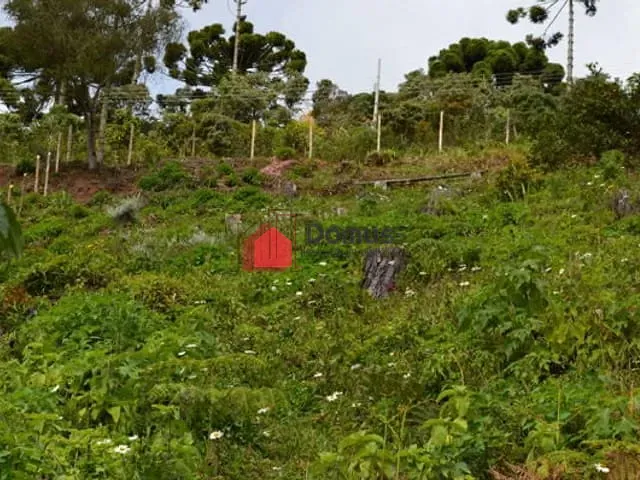 Terreno com 1292m², à venda, no bairro Vila Abernéssia em Campos Do Jordão