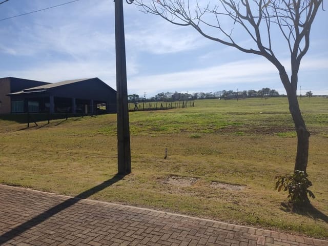 Terreno com 1503m², à venda, no bairro Rodovia em Sertanópolis