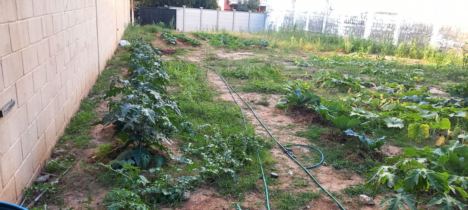 Terreno, 416 m² - Foto 6