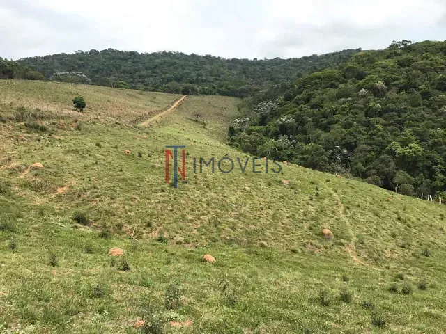 Terreno com 242000m², à venda, no bairro Ribeirão Acima em Nazaré Paulista