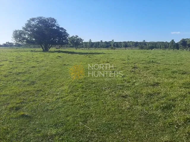 Terreno com 13220000m², à venda, no bairro Barra do Itapocú em Araquari