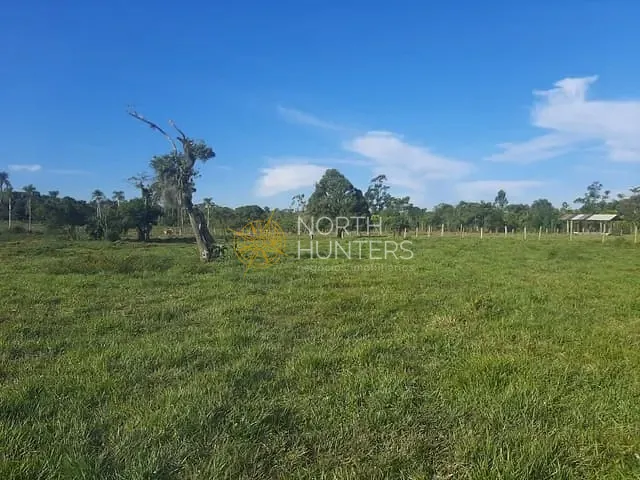 Terreno com 13220000m², à venda, no bairro Barra do Itapocú em Araquari