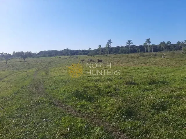 Terreno com 13220000m², à venda, no bairro Barra do Itapocú em Araquari