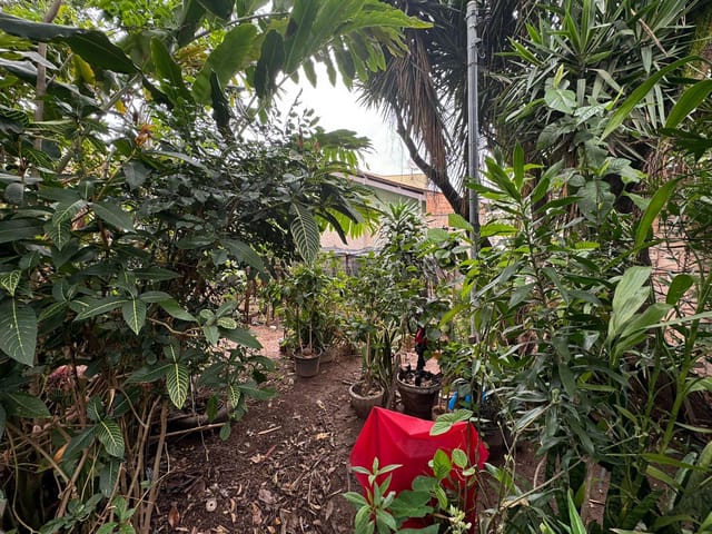 Terreno com 500m², à venda, no bairro Floramar em Belo Horizonte