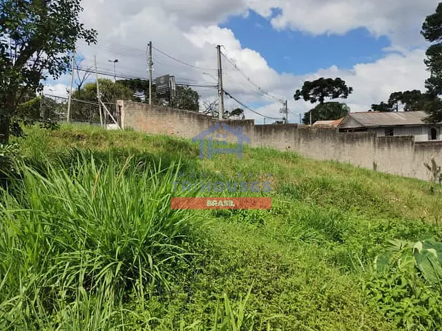 Terreno com 2000m², à venda, no bairro Tingui em Curitiba