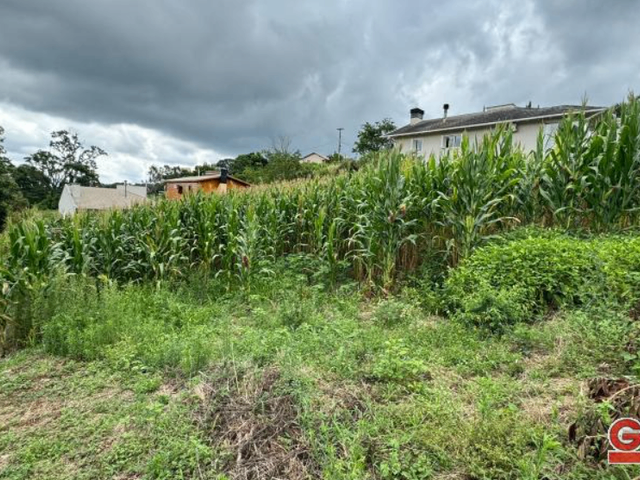 Terreno com 390m², à venda, no bairro Loteamento Carnevalli em Nova Prata
