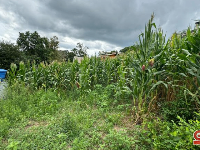 Terreno com 390m², à venda, no bairro Loteamento Carnevalli em Nova Prata