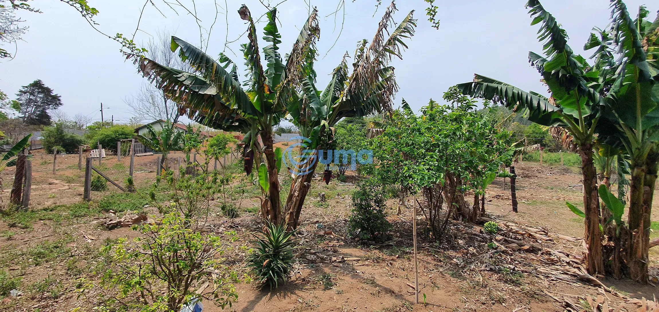 Terreno, 1000 m² - Foto 6