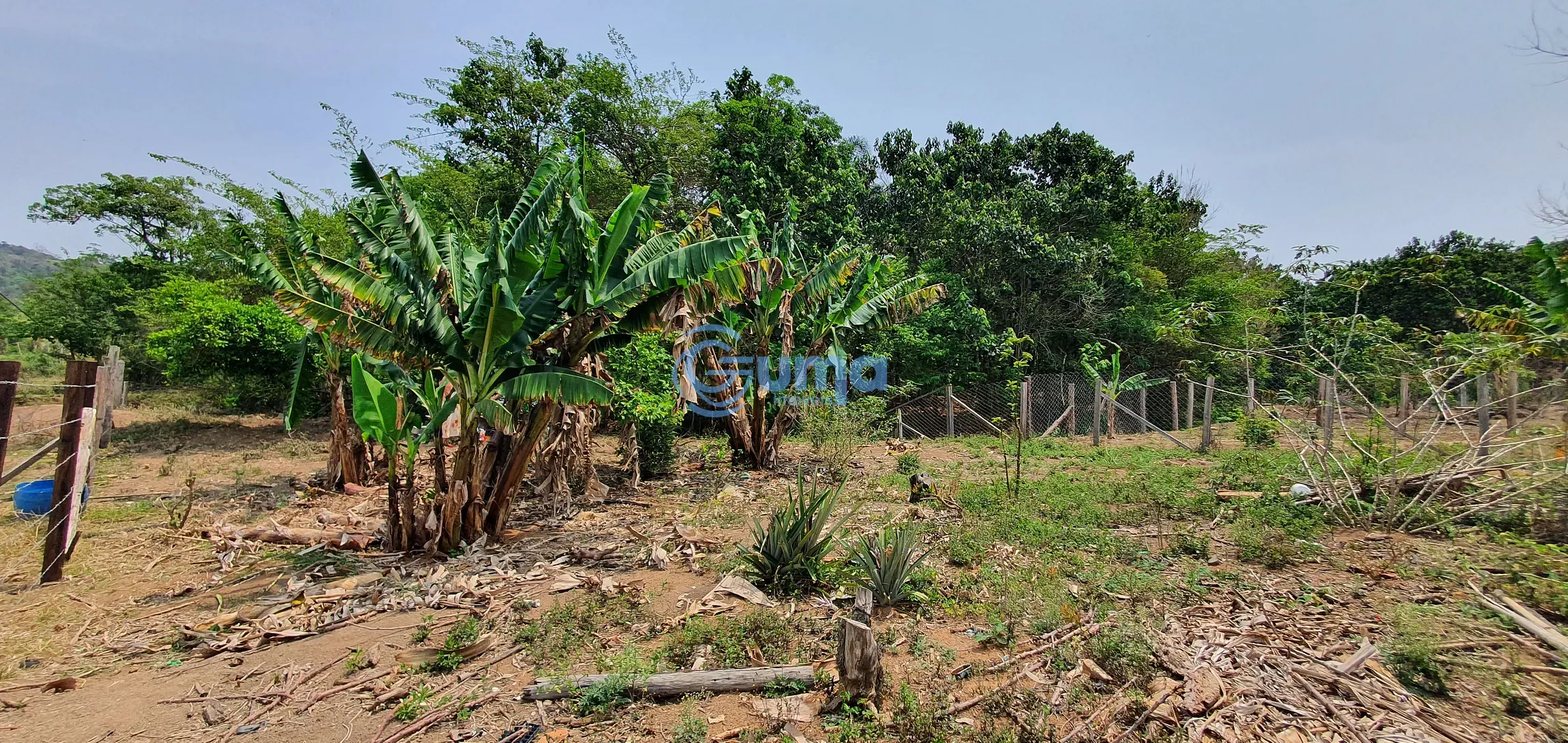 Terreno, 1000 m² - Foto 4