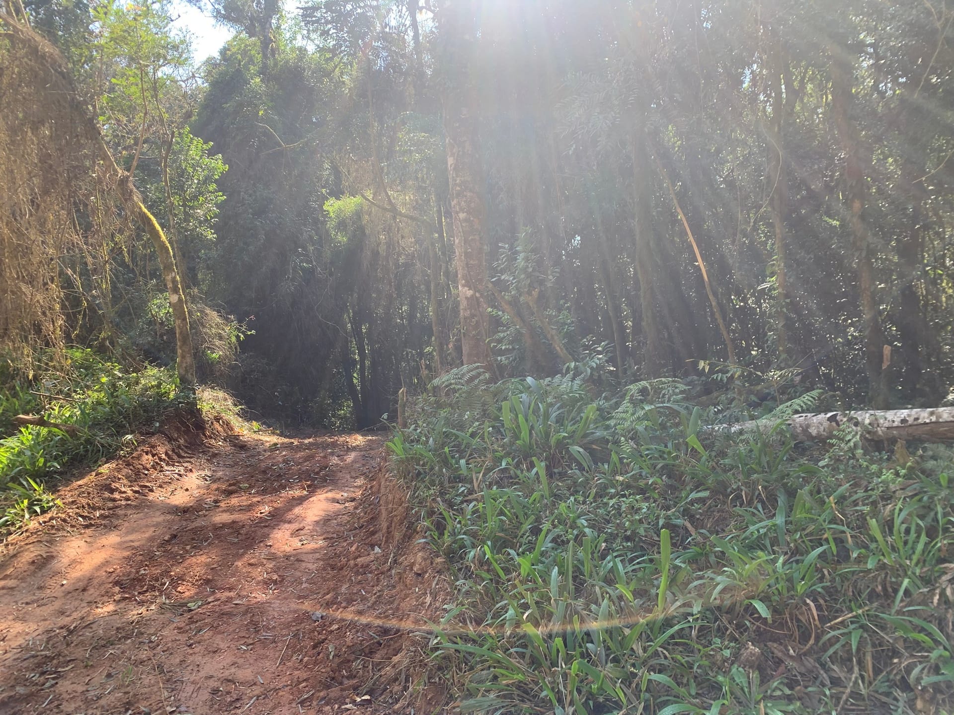 Terreno à venda, 16000m² - Foto 6