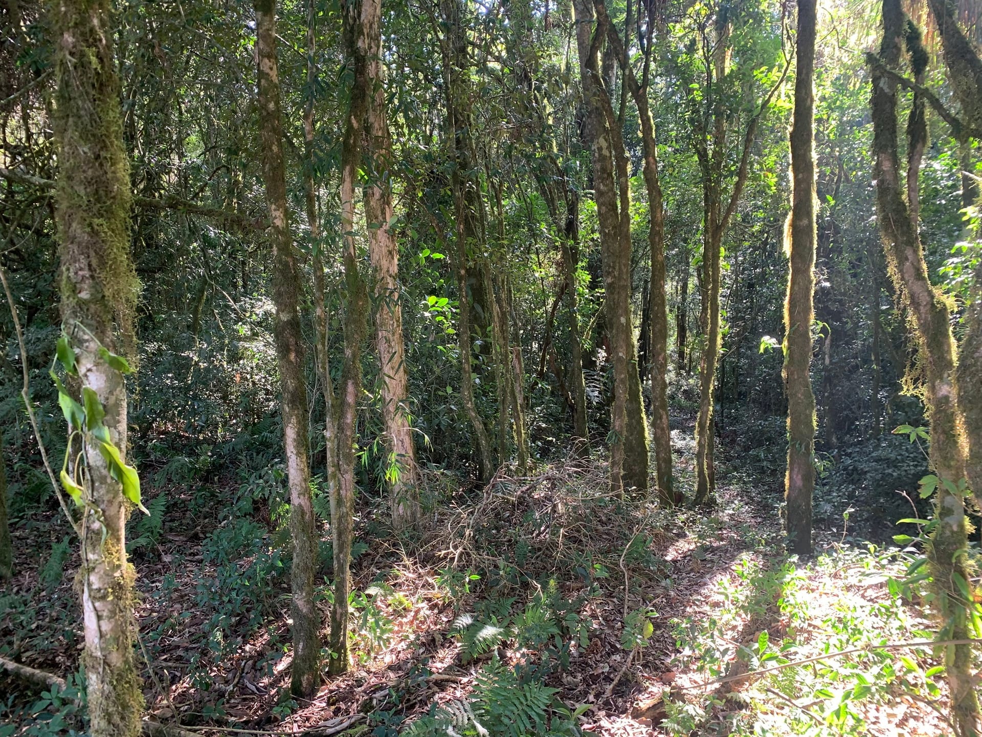 Terreno à venda, 16000m² - Foto 13
