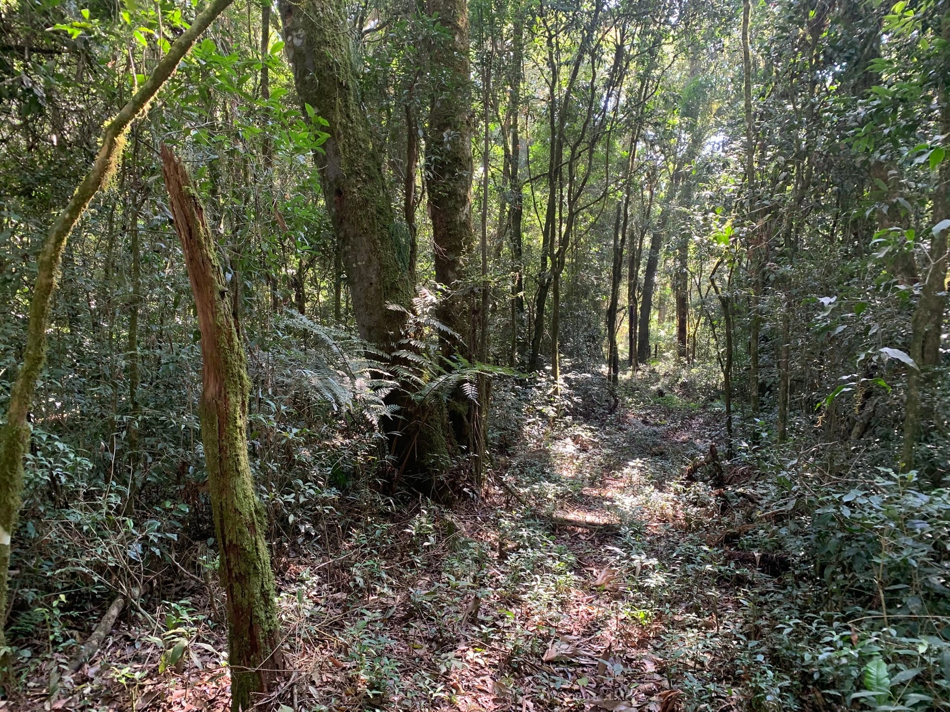 Terreno à venda, 16000m² - Foto 14
