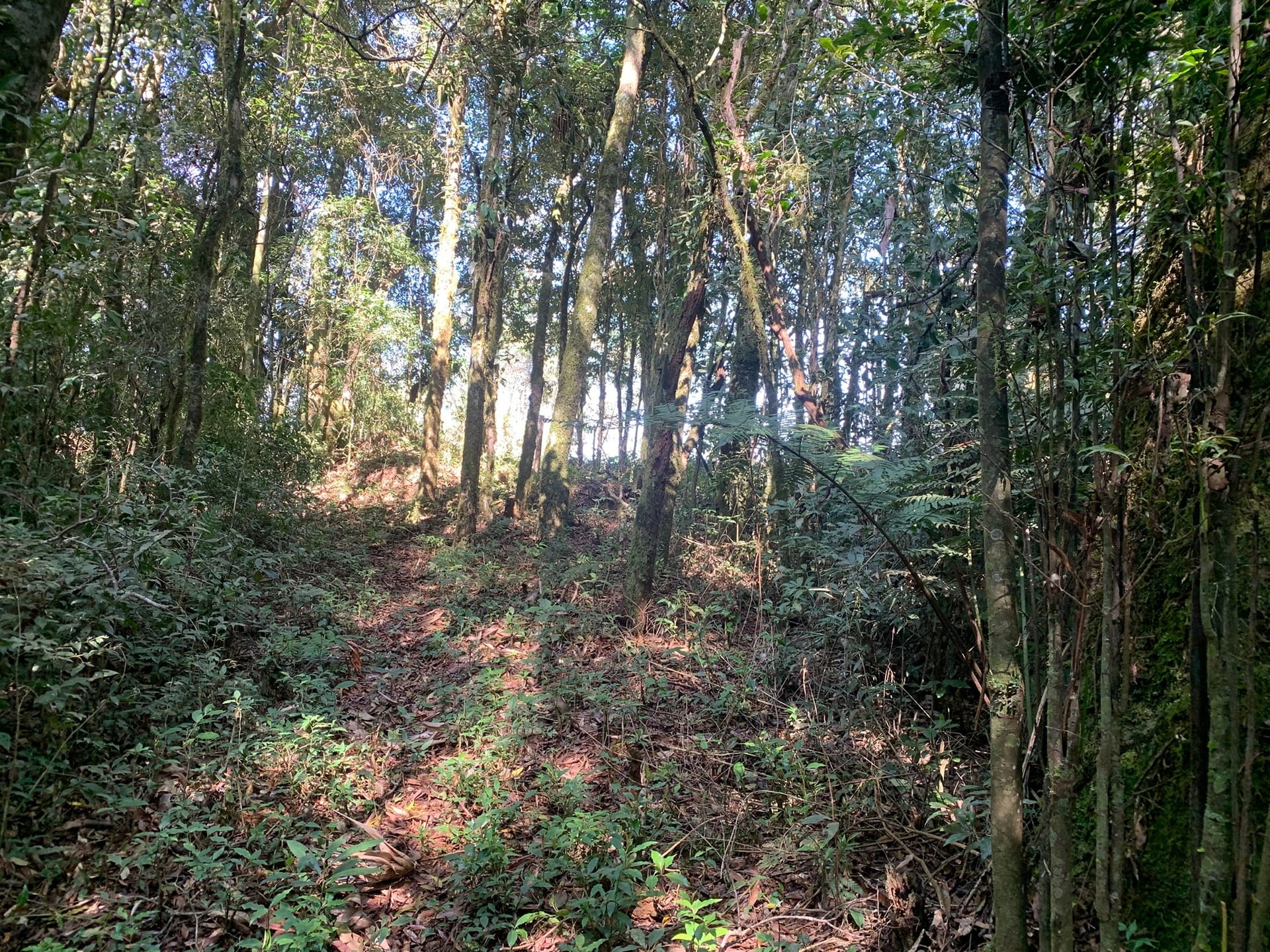 Terreno à venda, 16000m² - Foto 1