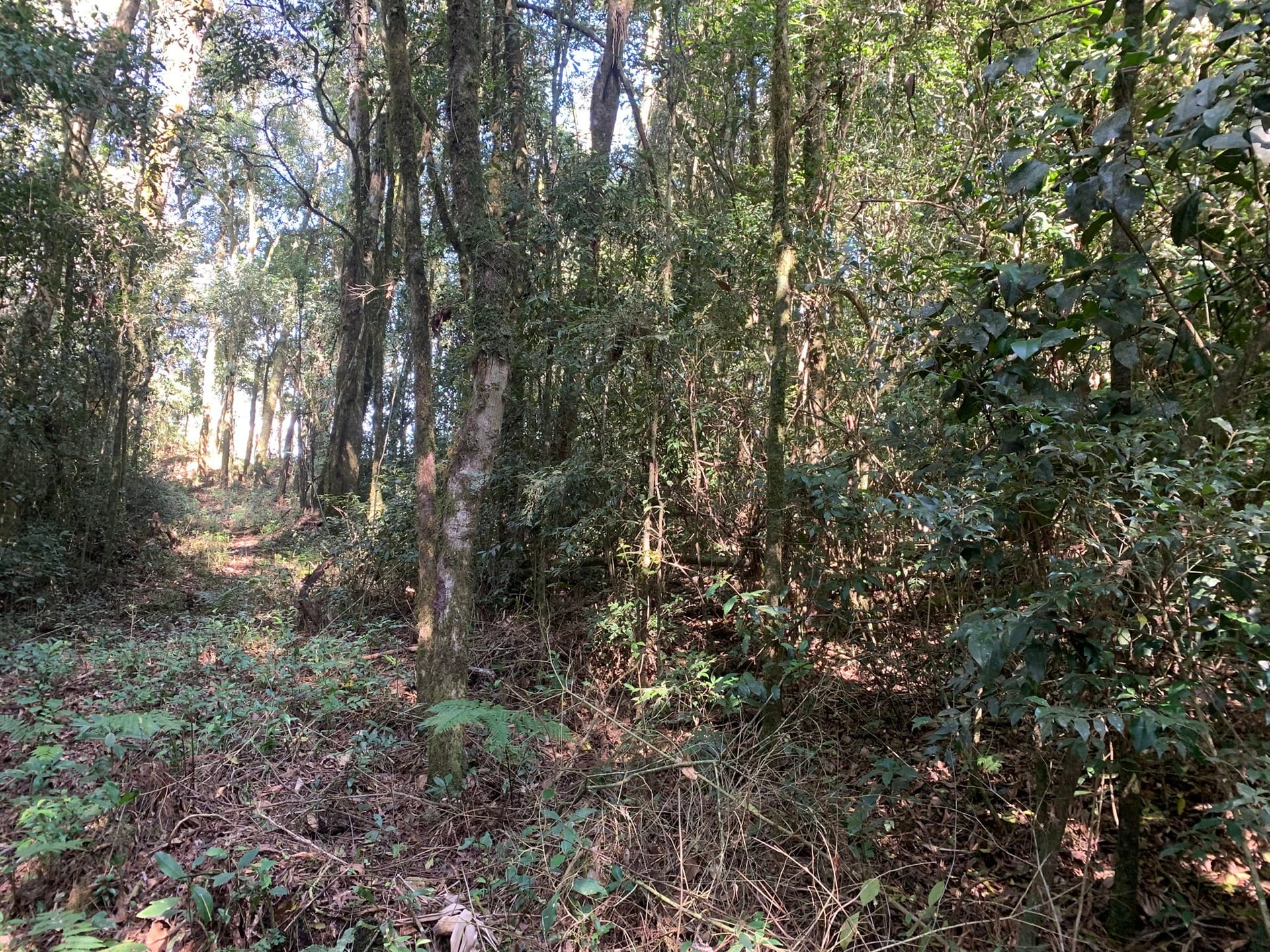 Terreno à venda, 16000m² - Foto 15