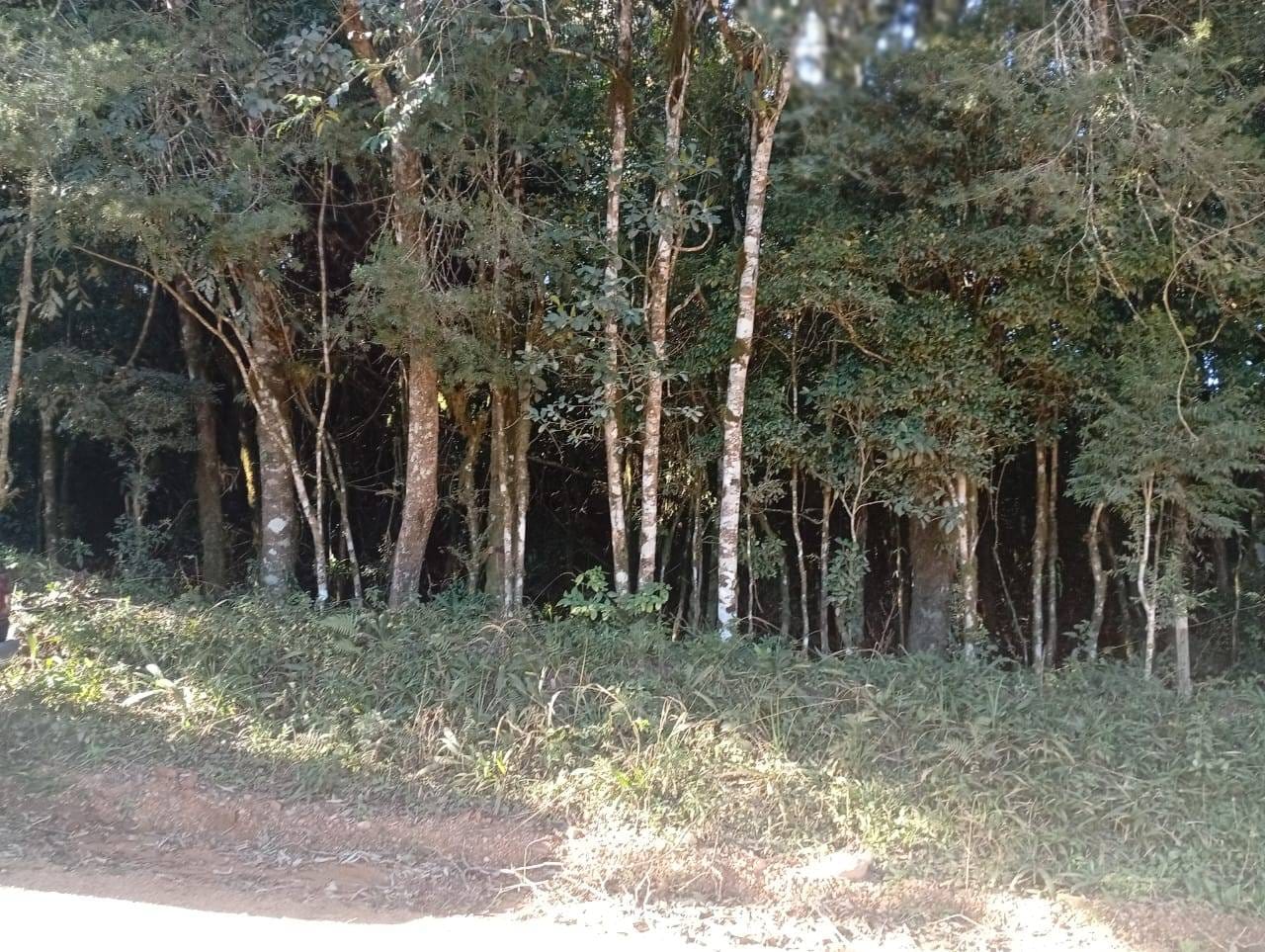 Terreno à venda, 16000m² - Foto 7