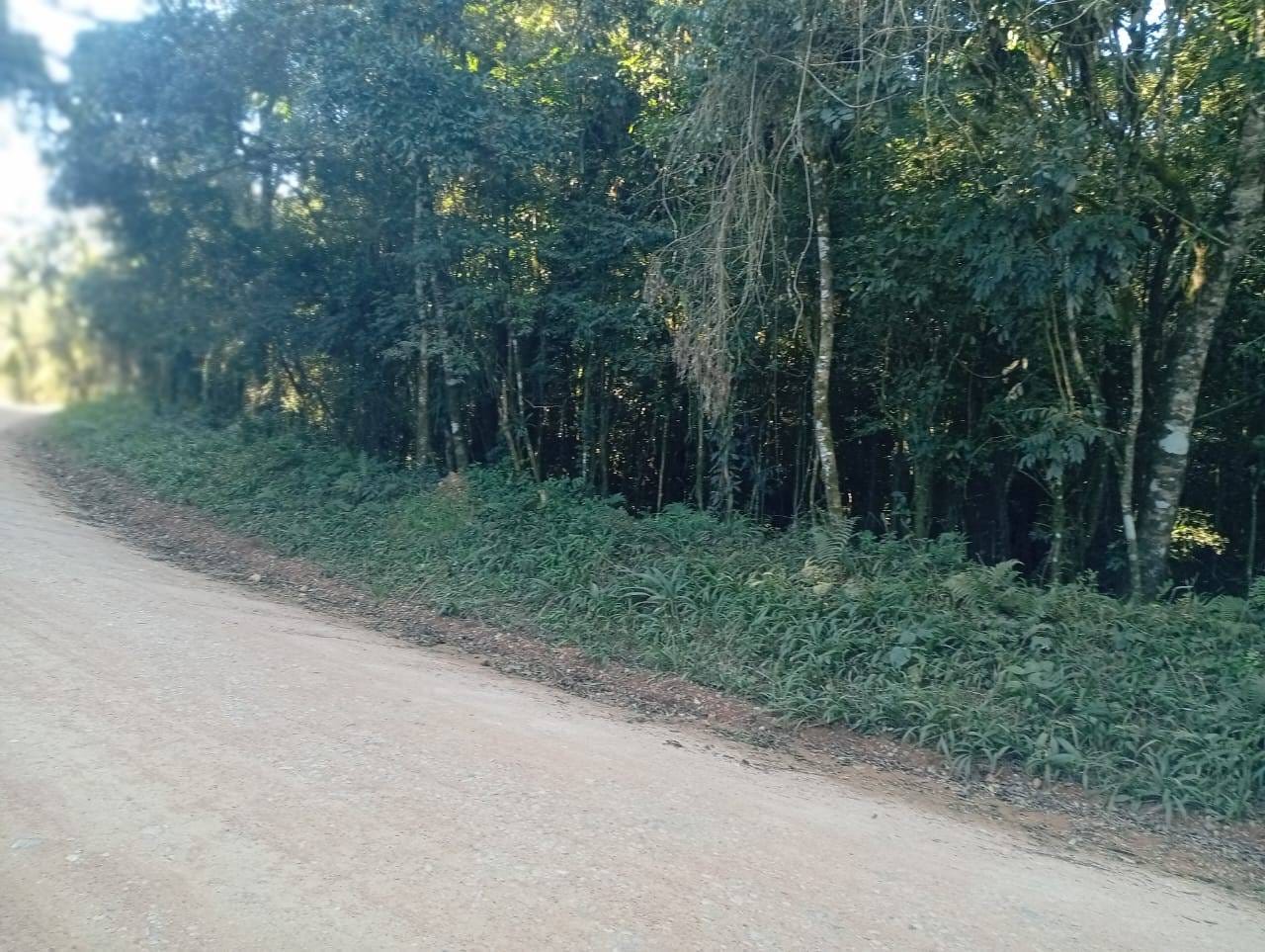 Terreno à venda, 16000m² - Foto 9