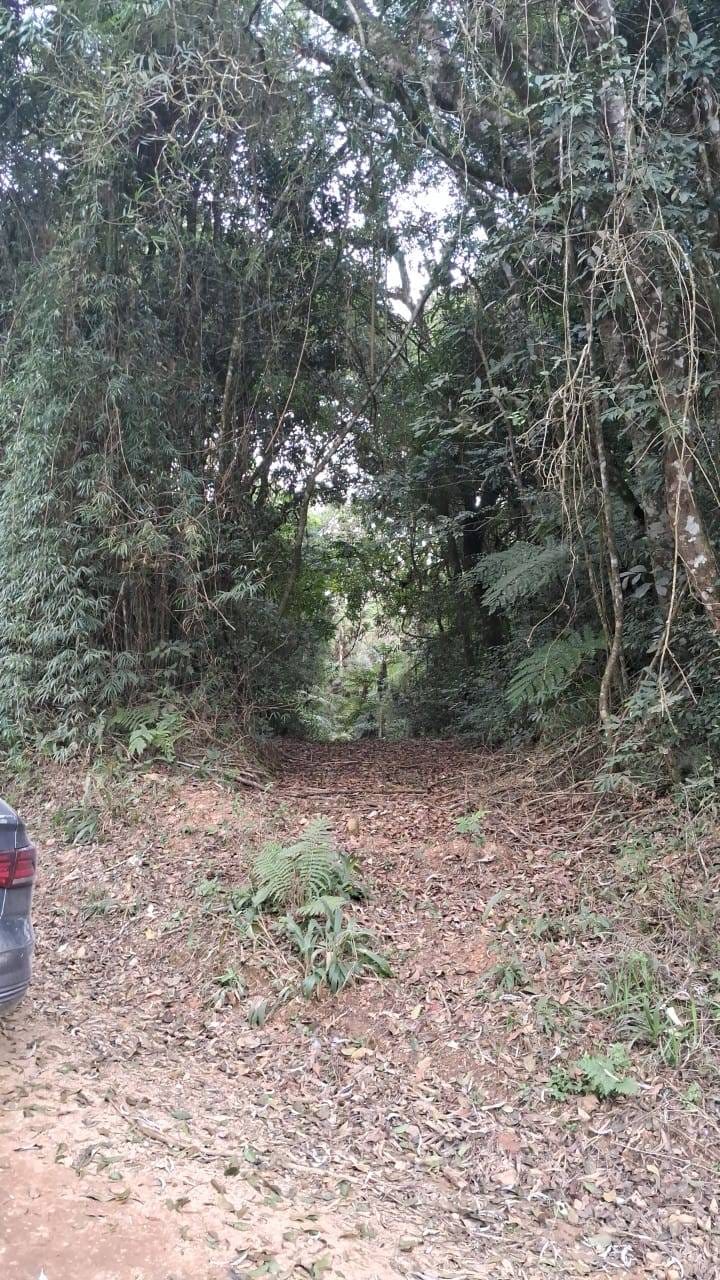 Terreno à venda, 16000m² - Foto 8