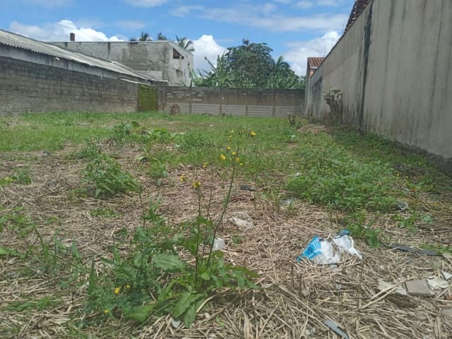 Foto do Terreno - Terreno à venda, 372 m² por R$ 170.500,00 - Morro do Algodão - Caraguatatuba/SP | RUSSI IMÓVEIS