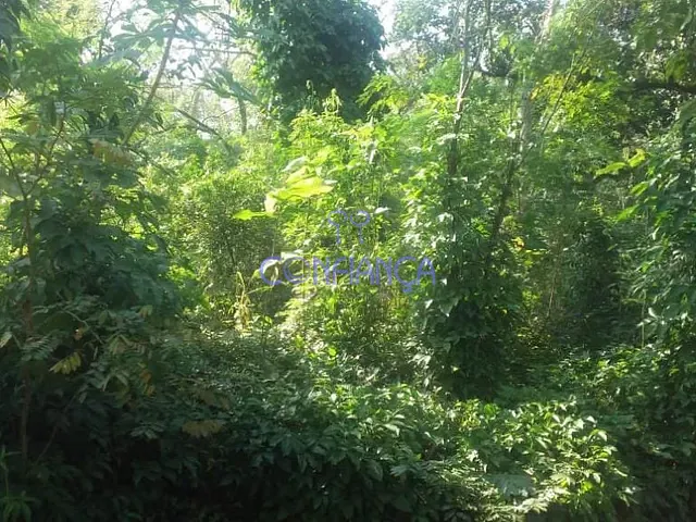 Terreno com 250m², à venda, no bairro Campo Grande em Rio de Janeiro