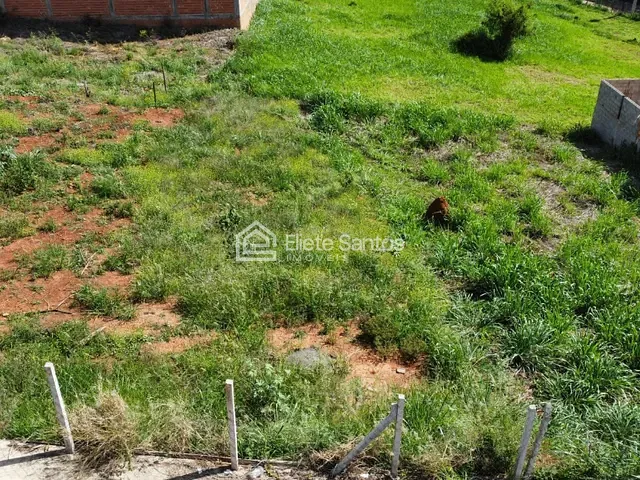 Terreno com 336m², à venda, no bairro Jardim dos Pinheiros em Americana