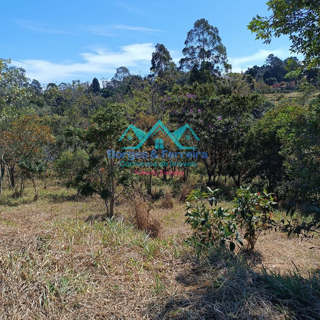 Terreno, 2500 m² - Foto 11