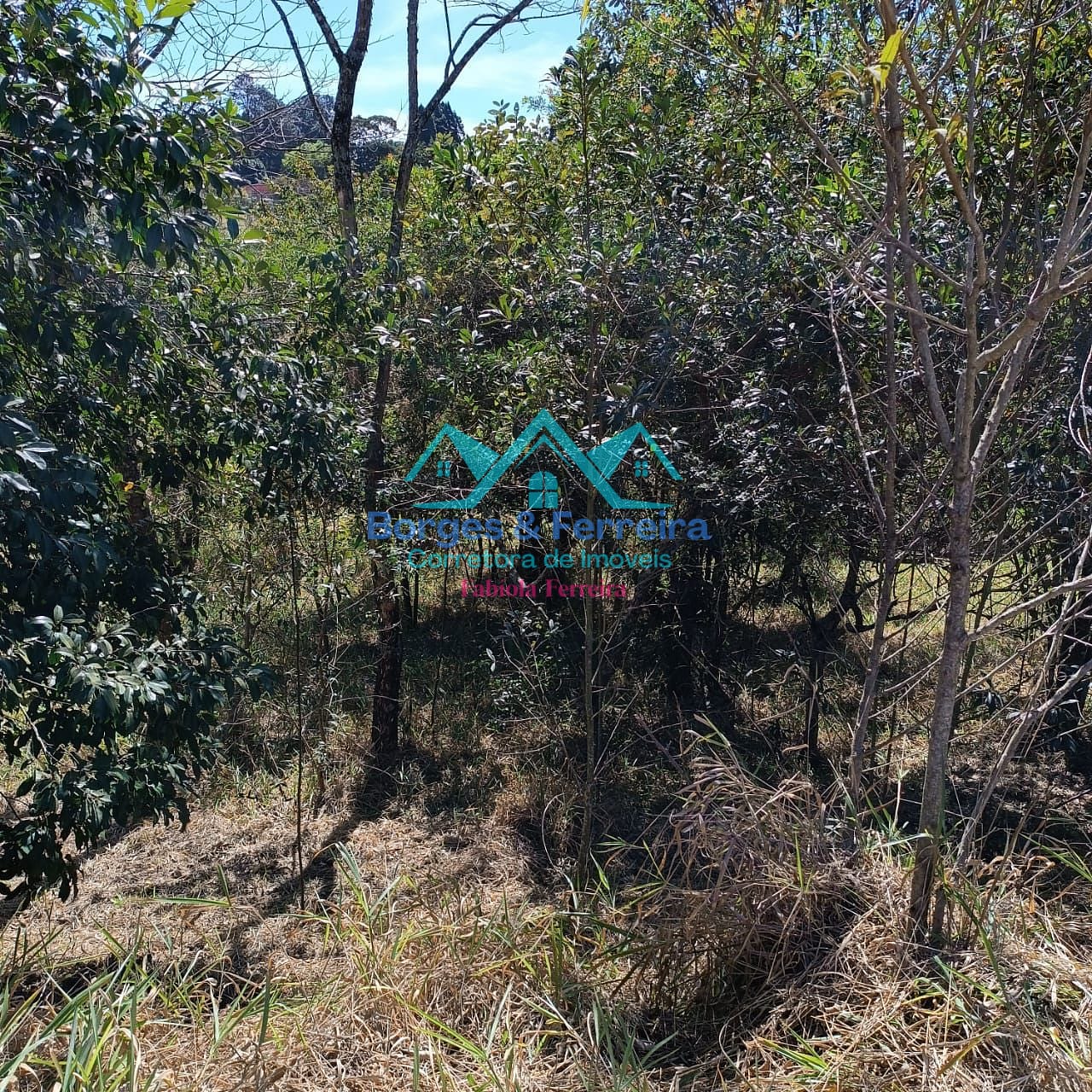 Terreno, 2500 m² - Foto 12