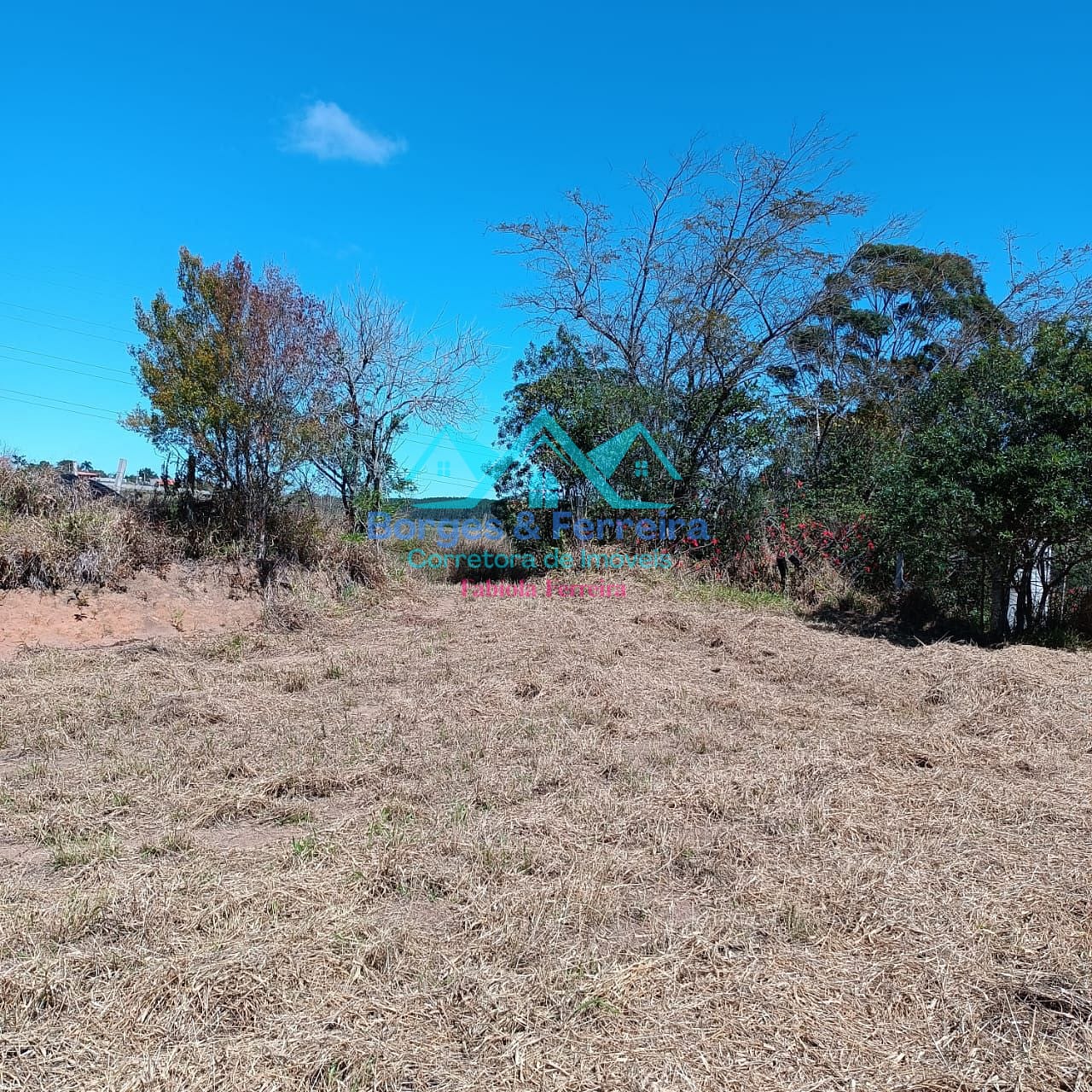 Terreno, 2500 m² - Foto 8