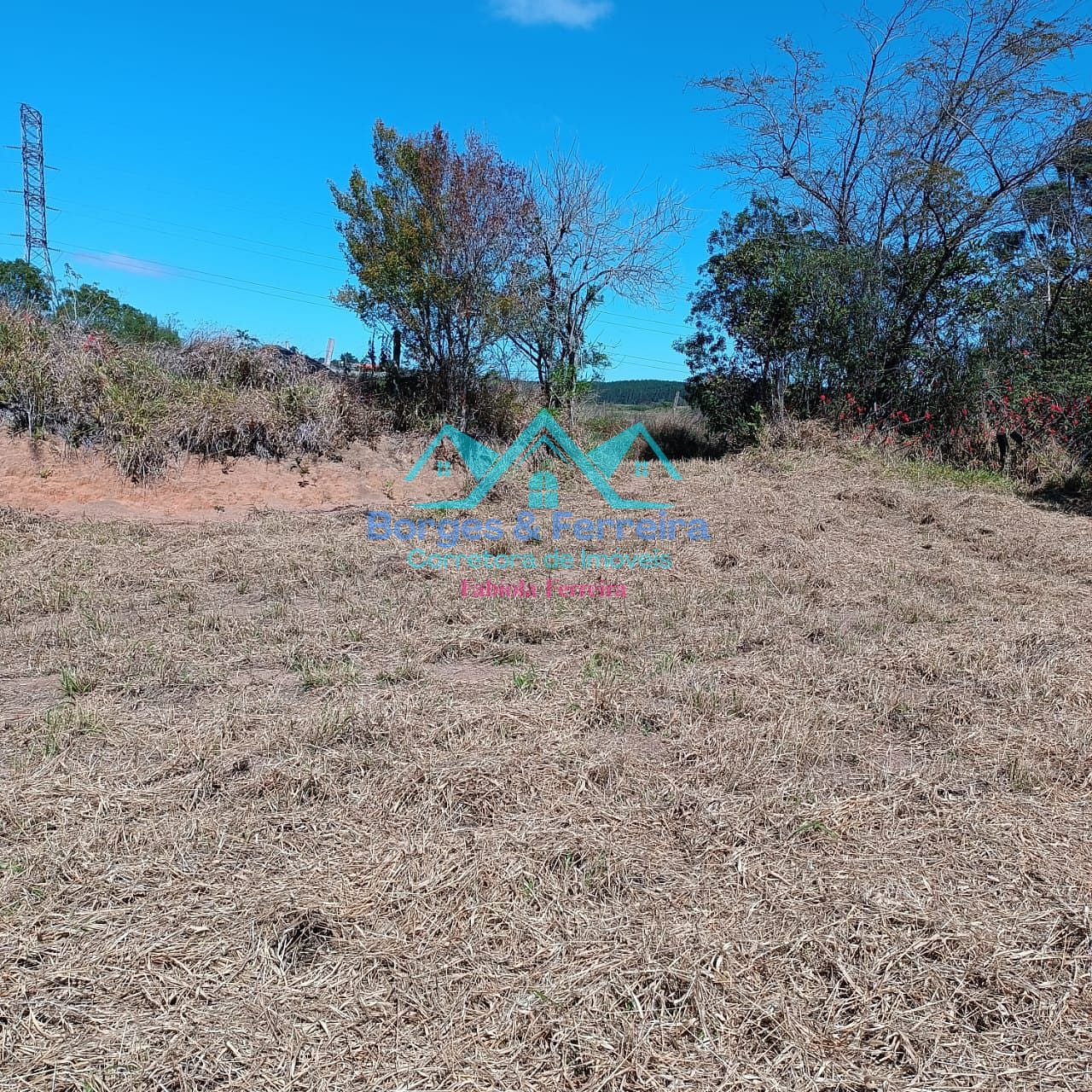 Terreno, 2500 m² - Foto 7