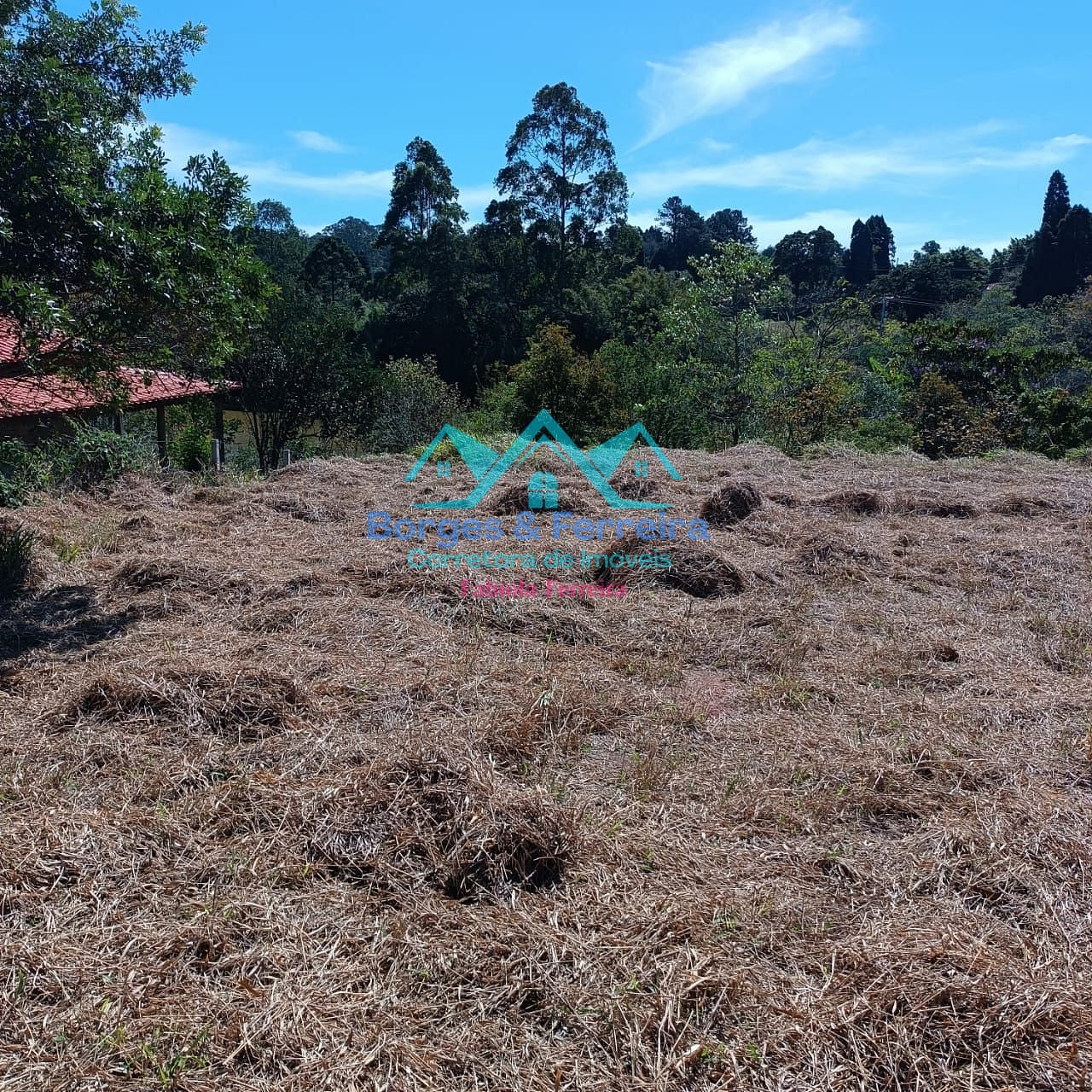 Terreno, 2500 m² - Foto 6