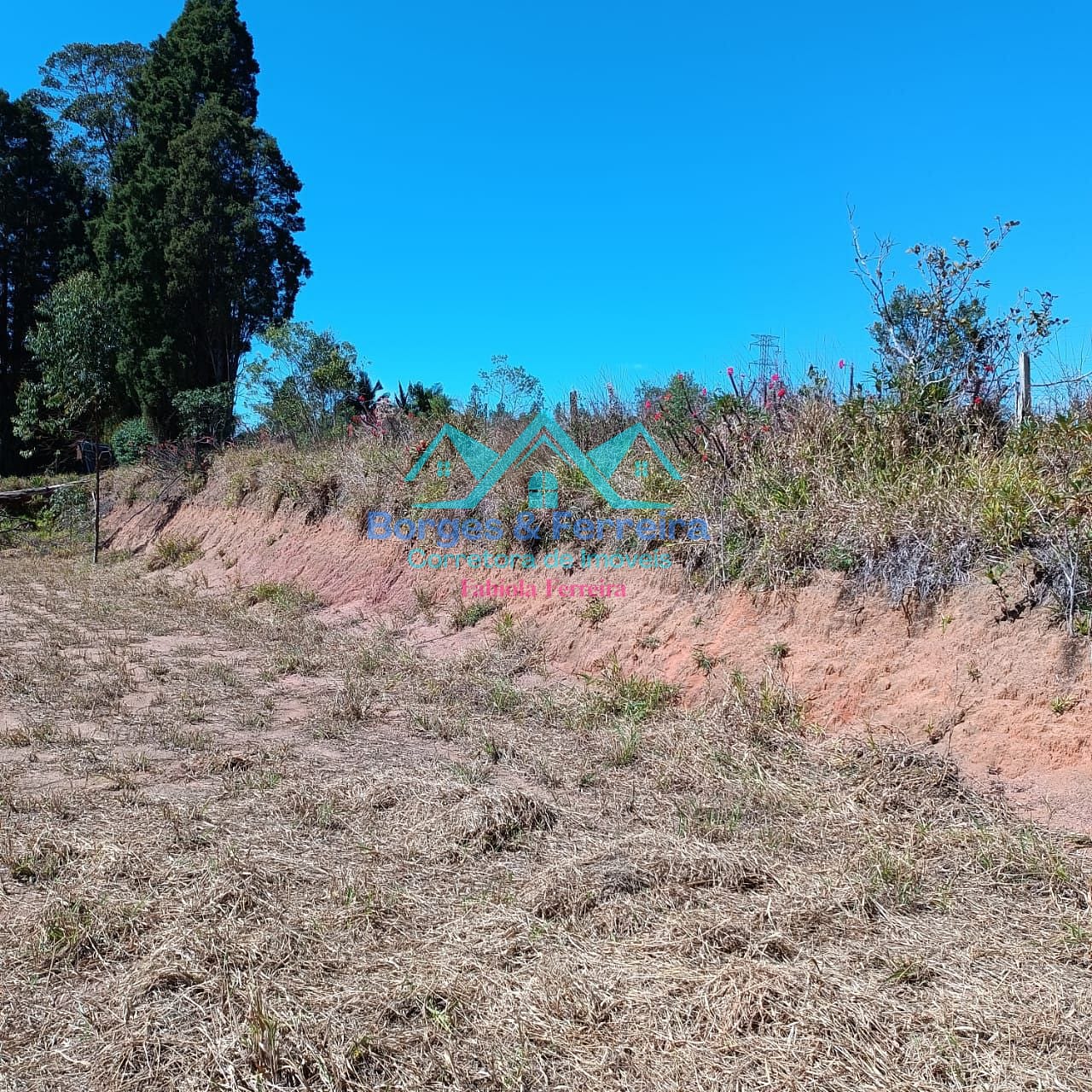 Terreno, 2500 m² - Foto 9