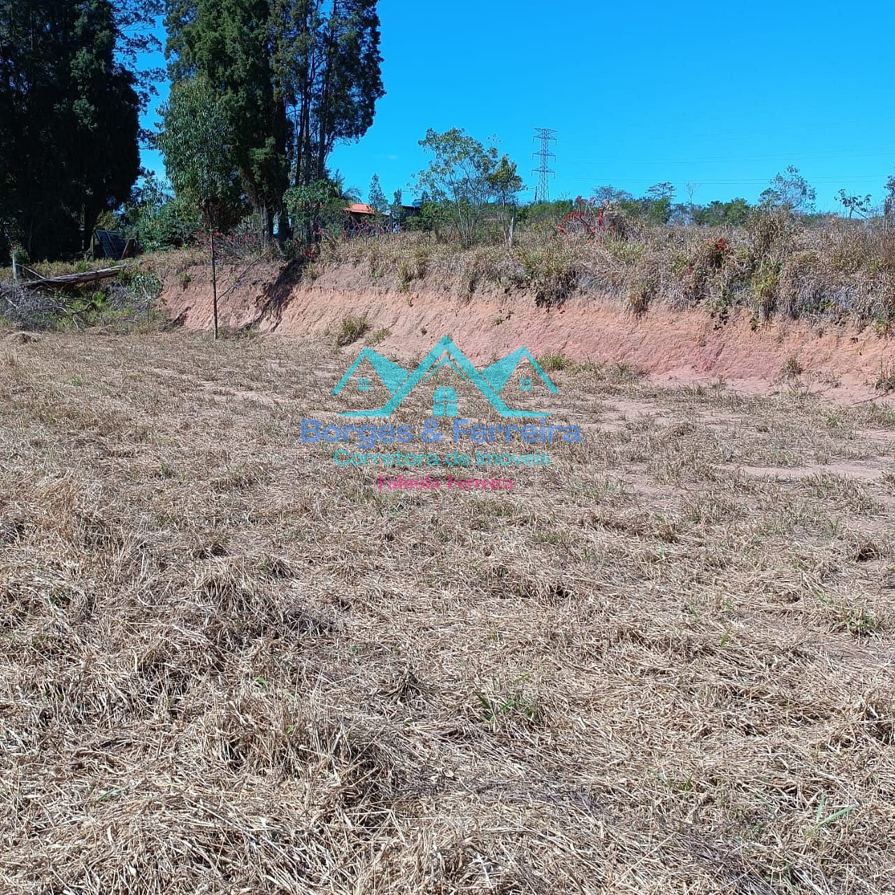 Terreno, 2500 m² - Foto 4