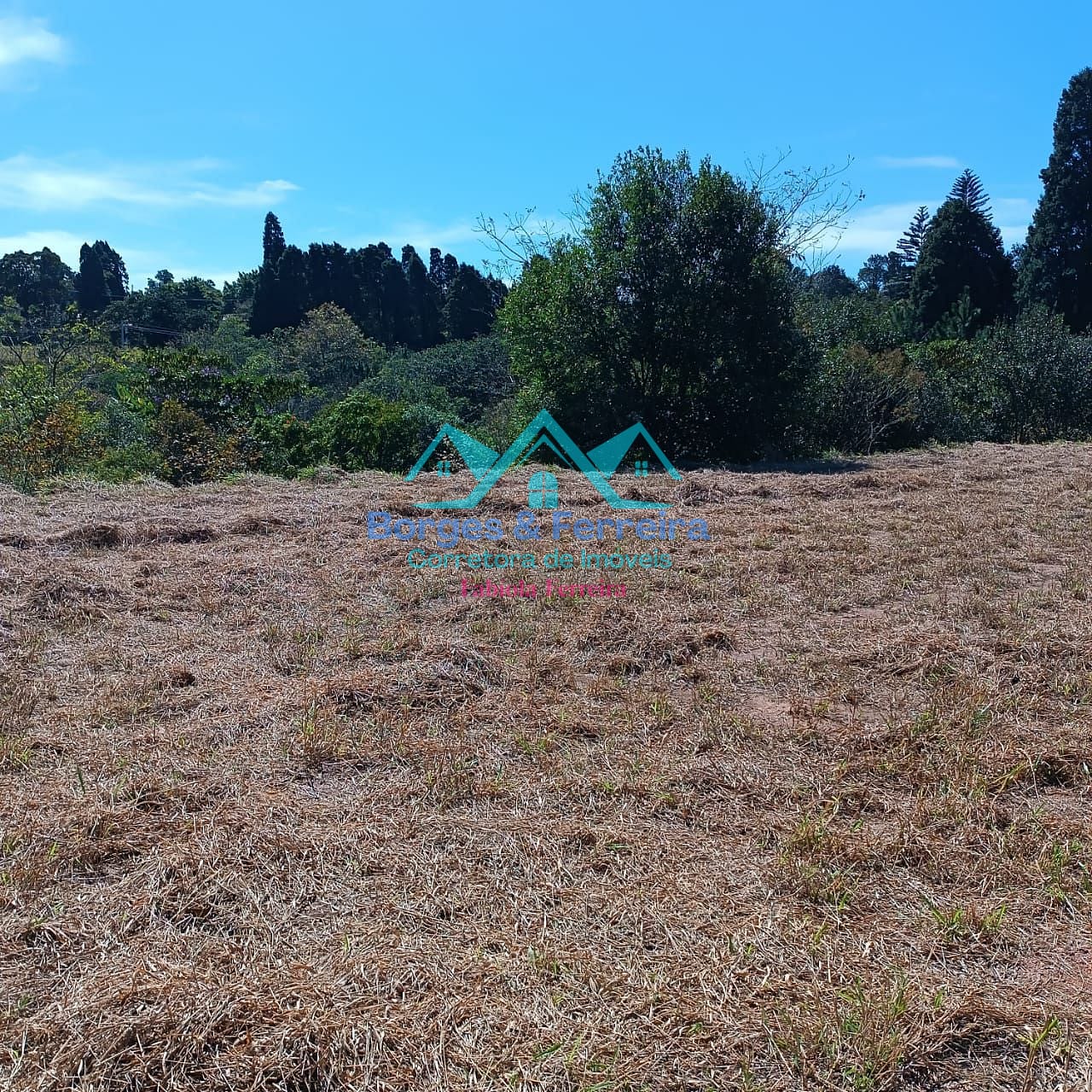 Terreno, 2500 m² - Foto 3