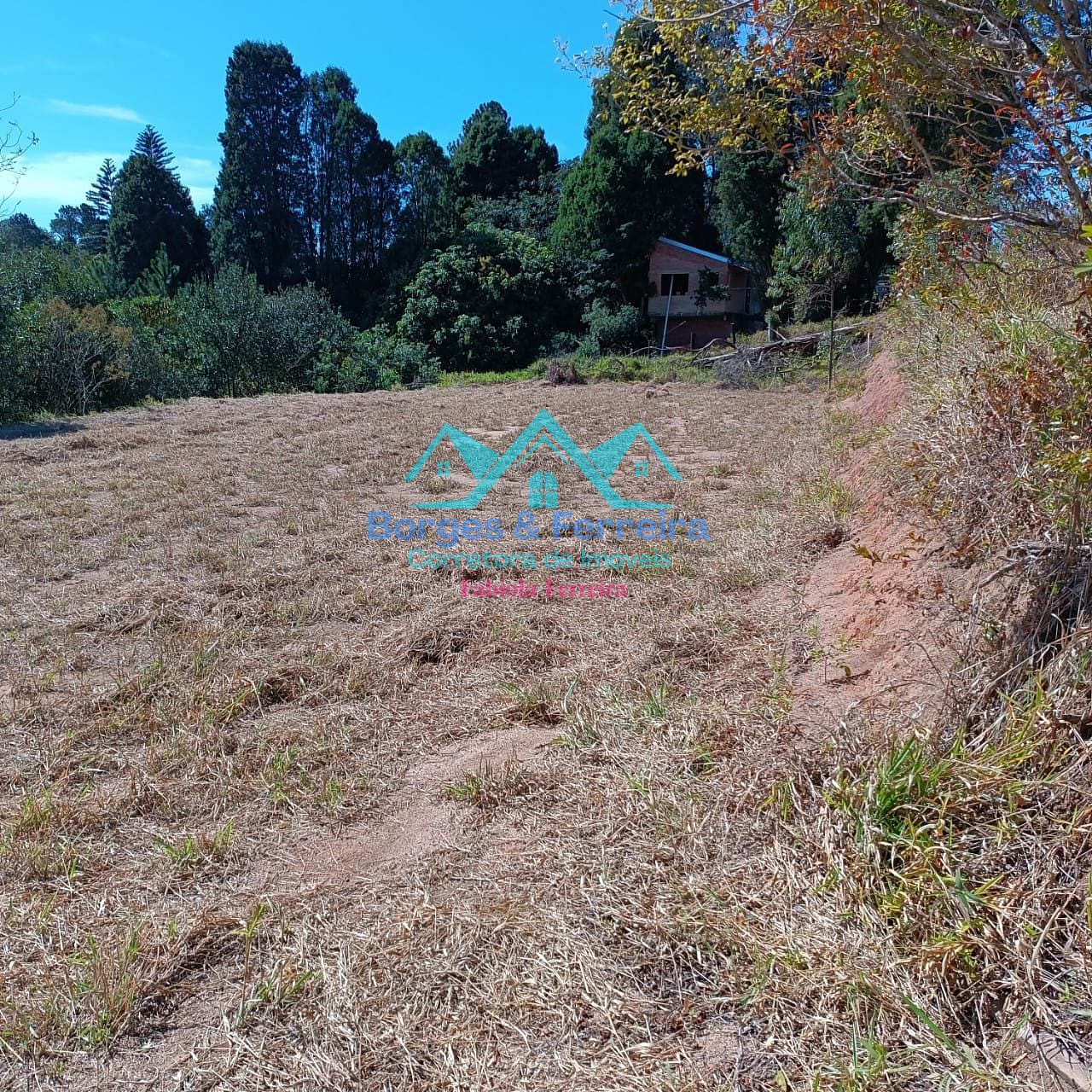 Terreno, 2500 m² - Foto 2