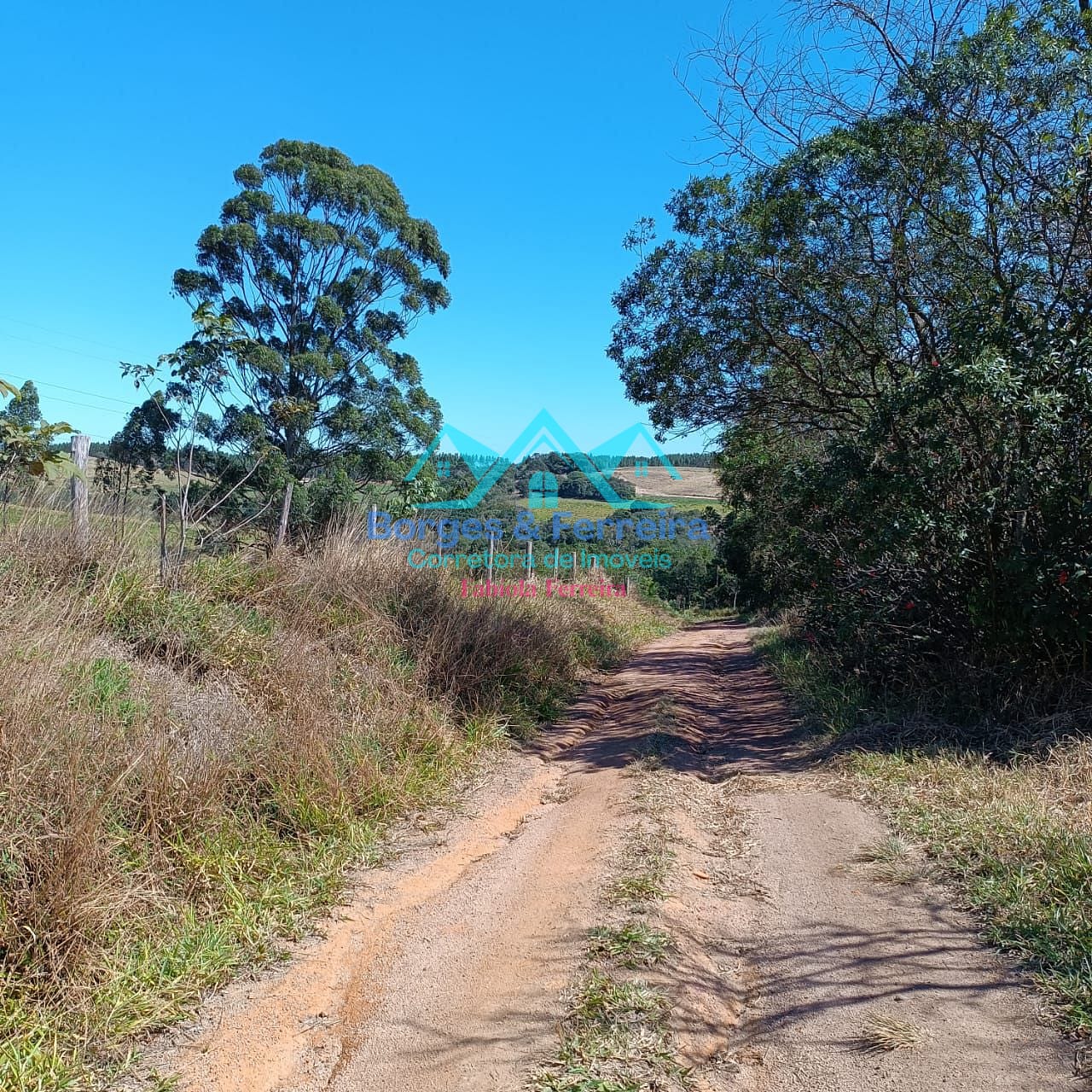 Terreno, 2500 m² - Foto 14