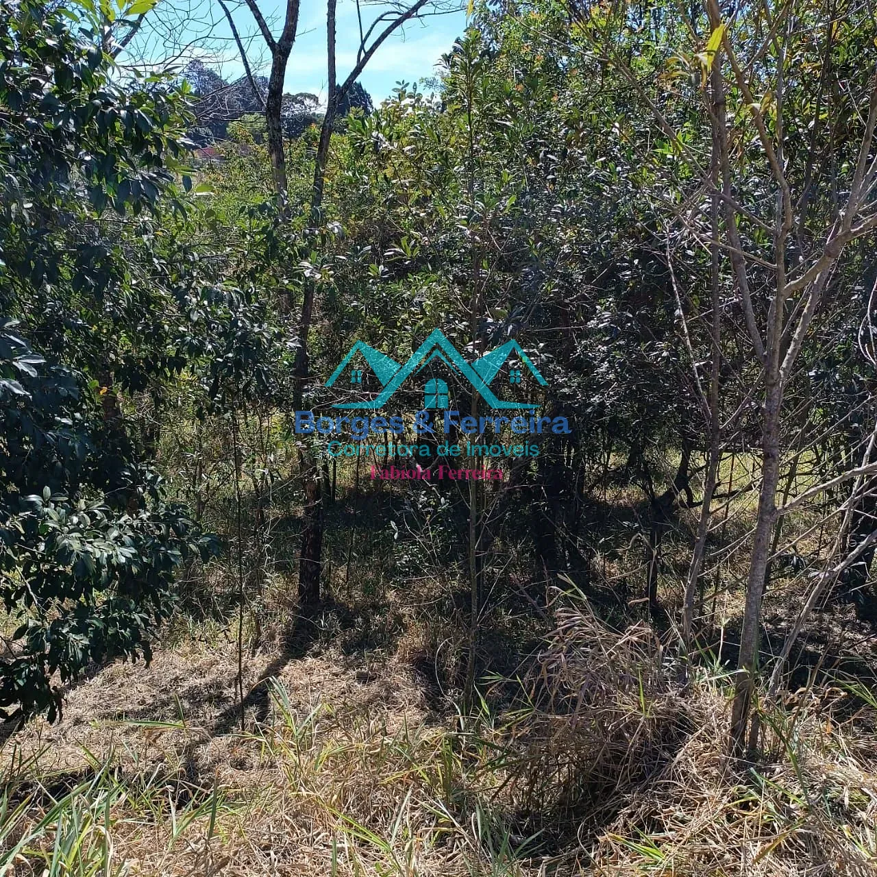 Terreno, 2500 m² - Foto 12