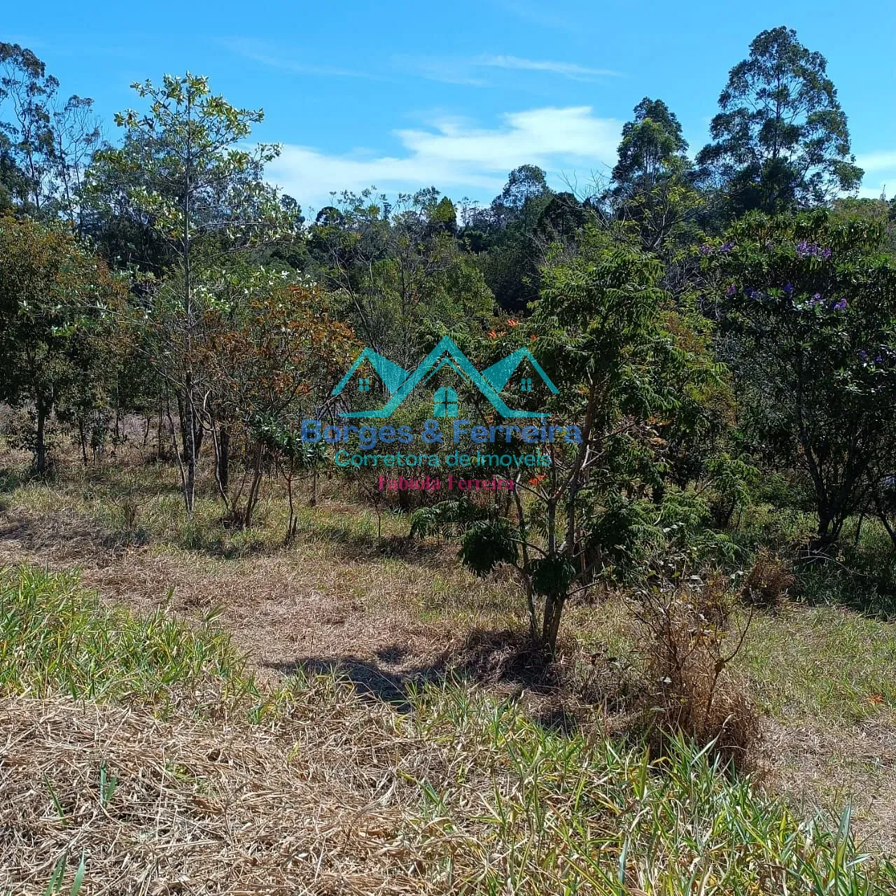 Terreno, 2500 m² - Foto 10