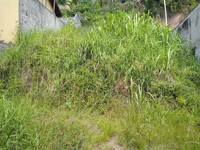 Terreno com 277m², à venda, no bairro Alto da Boa Vista em Mauá