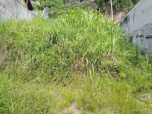 Terreno, 277 m² - Foto 2