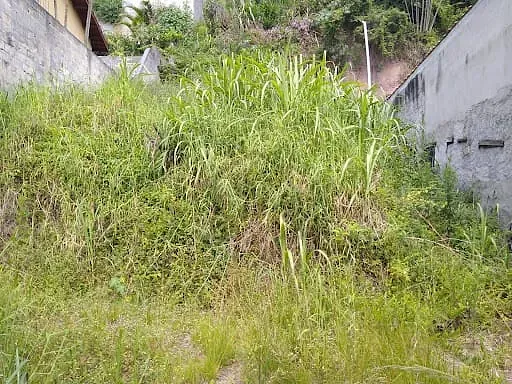Terreno, 277 m² - Foto 4