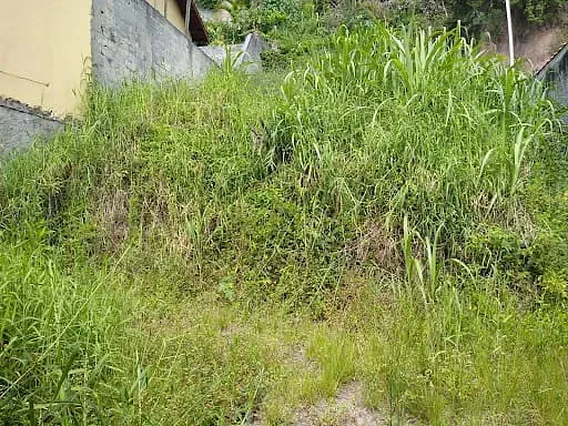 Terreno, 277 m² - Foto 3