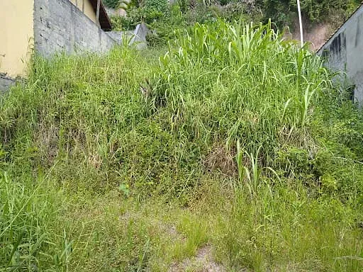 Terreno, 277 m² - Foto 5