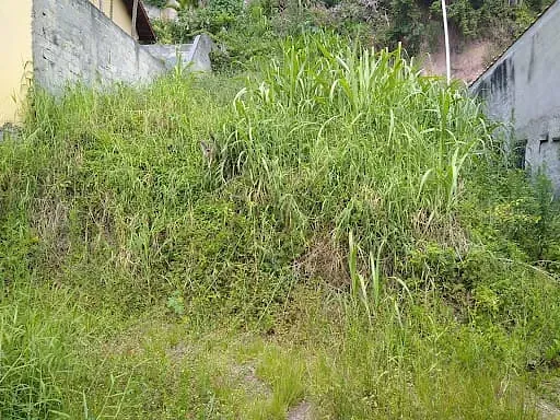 Terreno, 277 m² - Foto 8