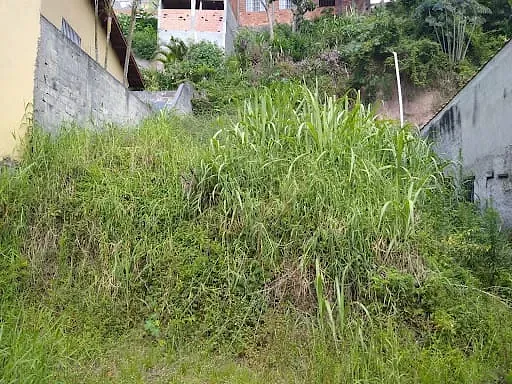 Terreno, 277 m² - Foto 6